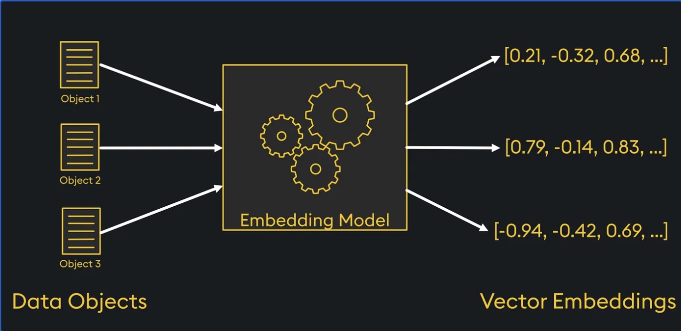 Evolution of Text Embeddings: From Words to Documents